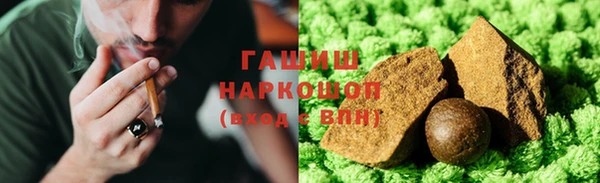 стаф Горняк