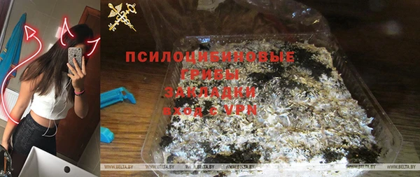 СК Вязьма