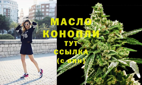 стаф Горняк