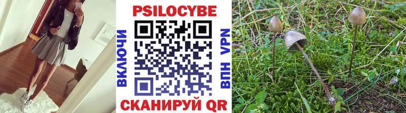 Псилоцибиновые грибы мухоморы  Купить закладки  Кириллов 